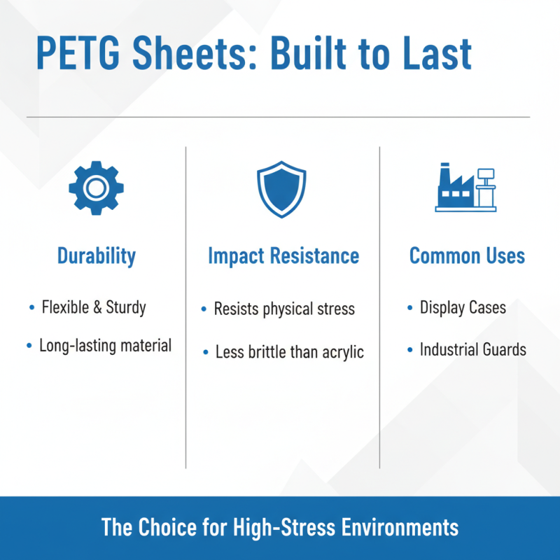 Why Choose Petg Sheet for Your Next Project?