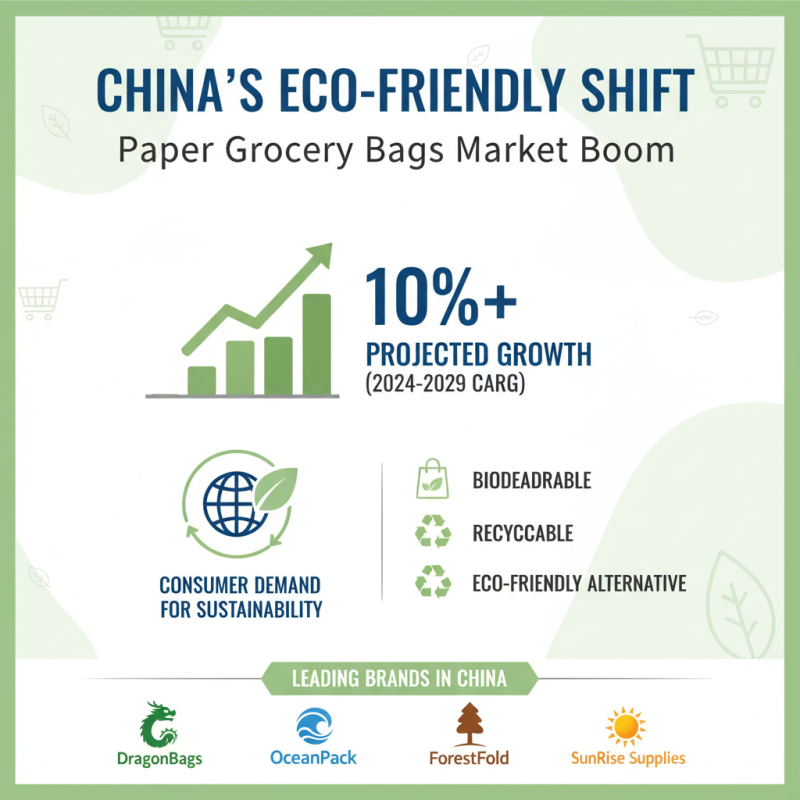 Discover the Best Paper Grocery Bags in China for Eco Friendly Shopping?