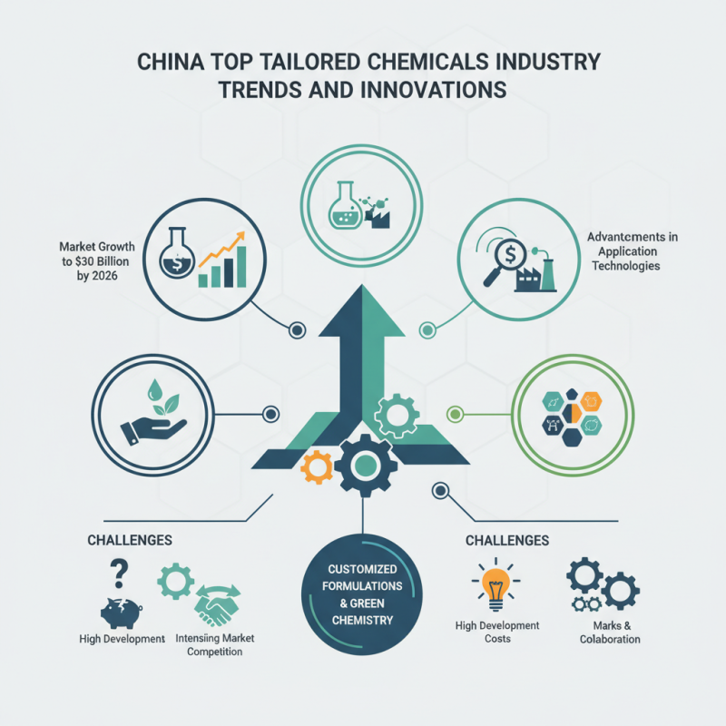 China Top Tailored Chemicals Industry Trends and Innovations?