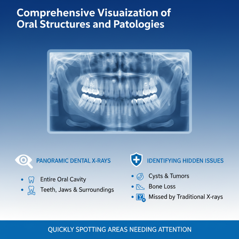 Top 10 Benefits of Panoramic Dental X Ray in China