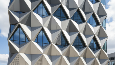 Top Aluminium Profile Cladding Options for Modern Architecture?