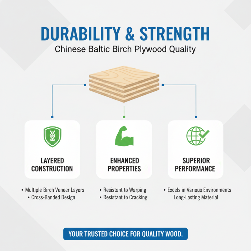 China Top Baltic Birch Plywood Benefits and Applications Explained?