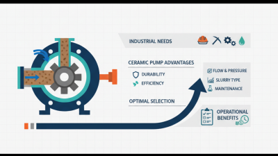 China Best Ceramic Slurry Pump for Your Industrial Needs?