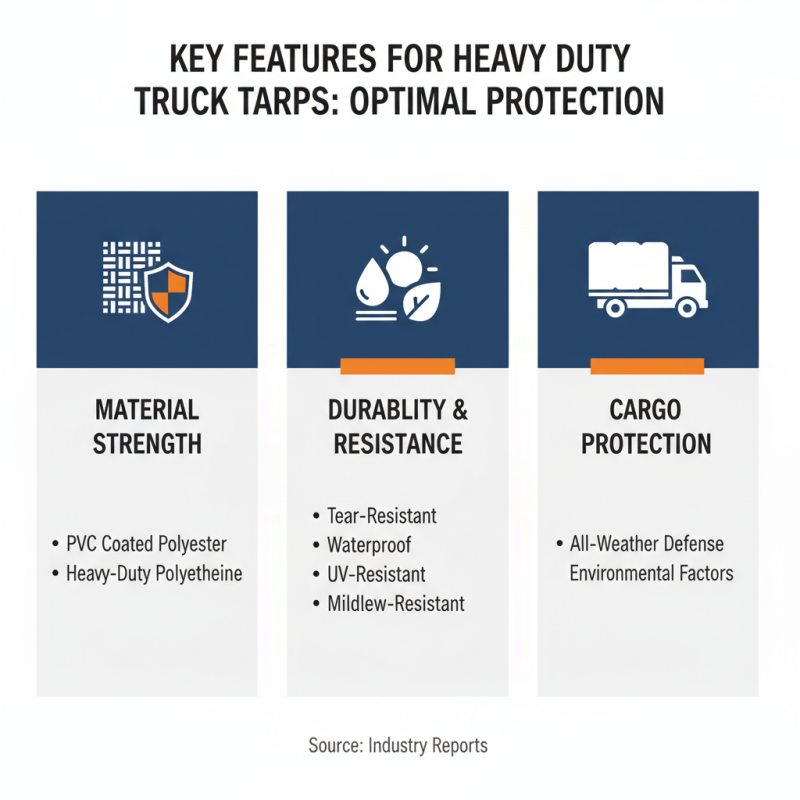 Best Heavy Duty Truck Tarp Options for Global Buyers?