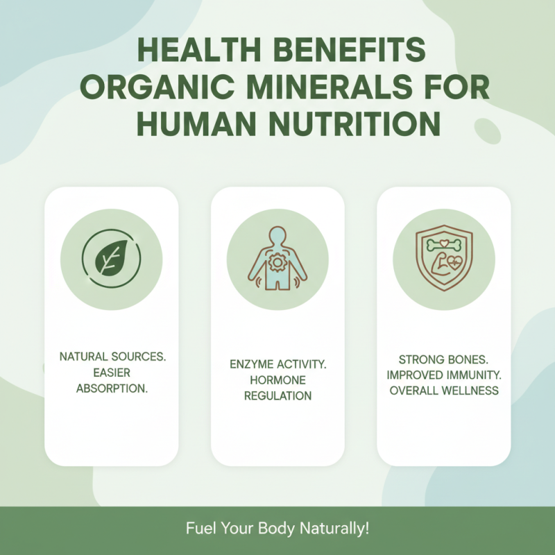 What are Organic Minerals and Their Benefits for Buyers?