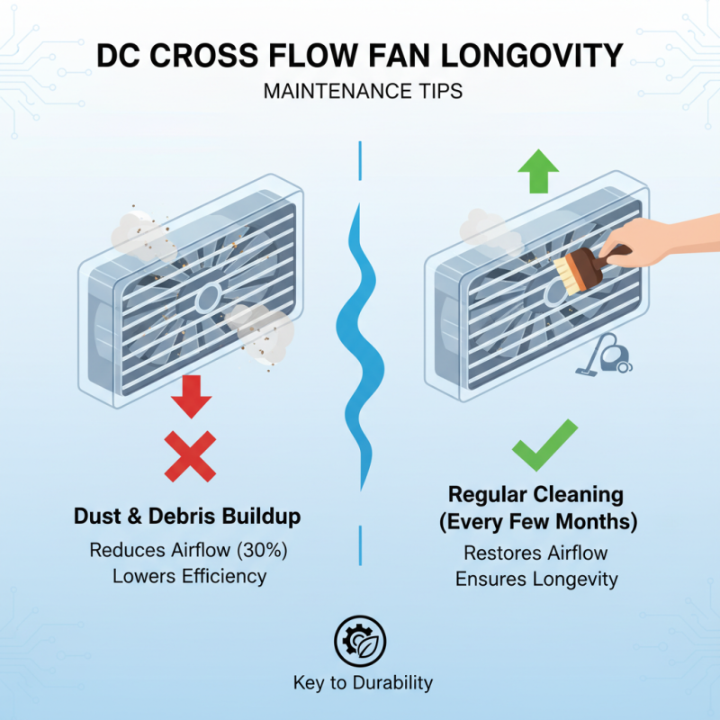 Essential Tips for Choosing the Right DC Cross Flow Fan