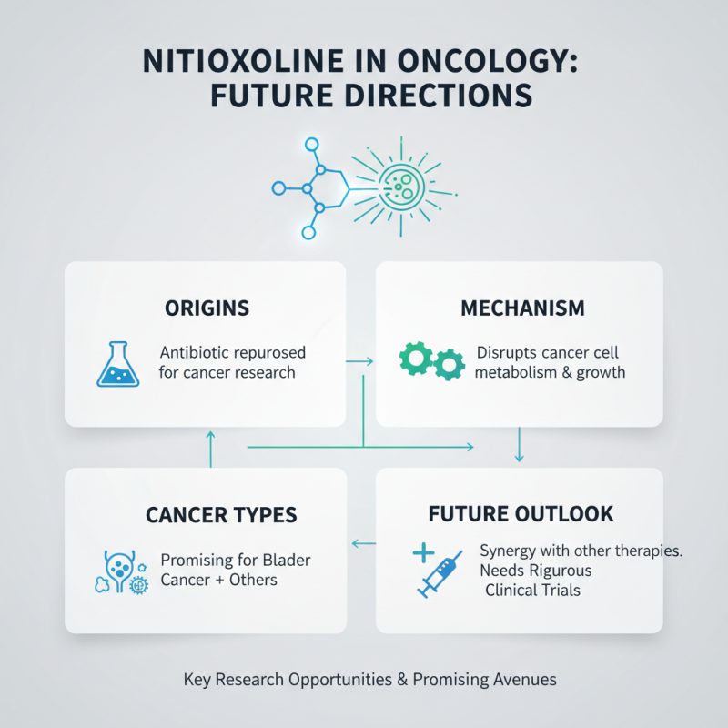 Top 10 Insights on Nitroxoline for Cancer Treatment Research?