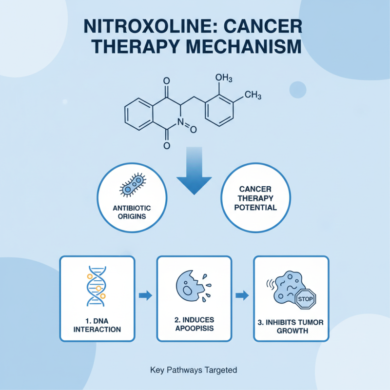 Top 10 Insights on Nitroxoline for Cancer Treatment Research?