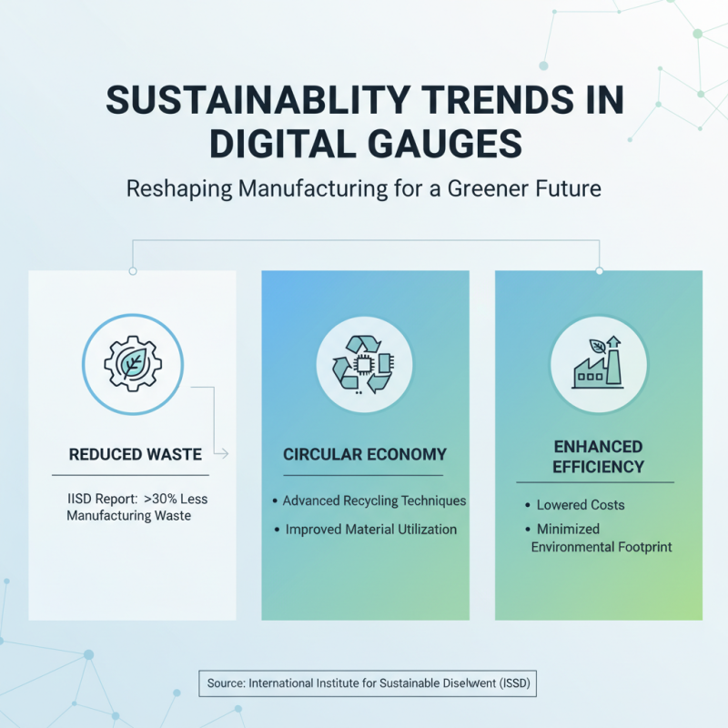 2026 Top Trends in Digital Gauges for Enhanced Precision and Efficiency