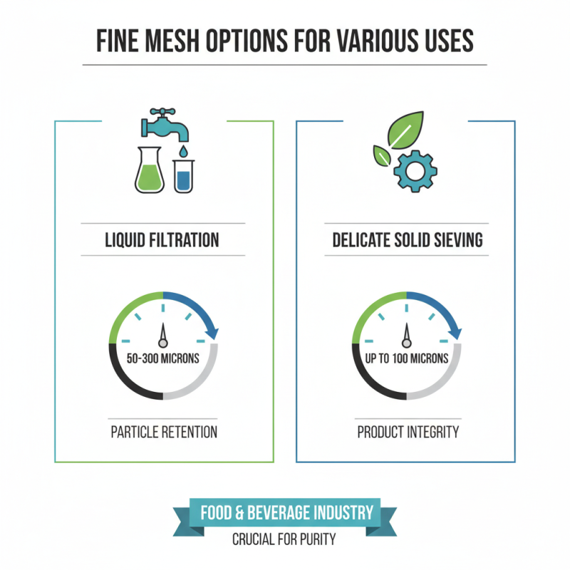 Top 10 Fine Mesh Options for Global Buyers to Consider?