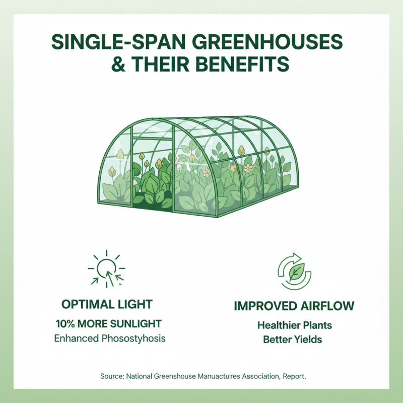 How to Choose the Best Single Span Greenhouse for Your Needs?