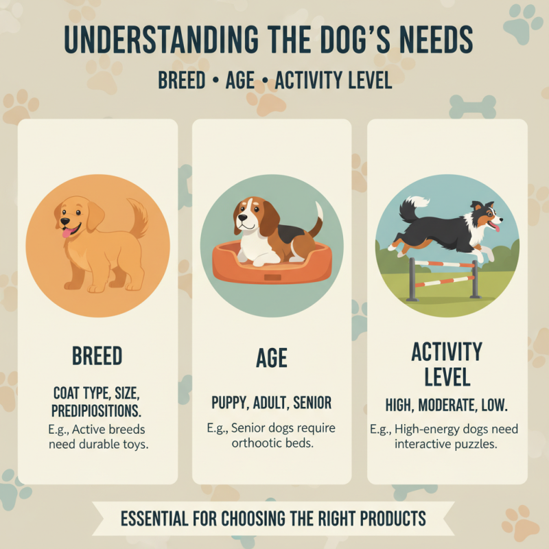How to Choose the Best Dog Products for Your Needs?