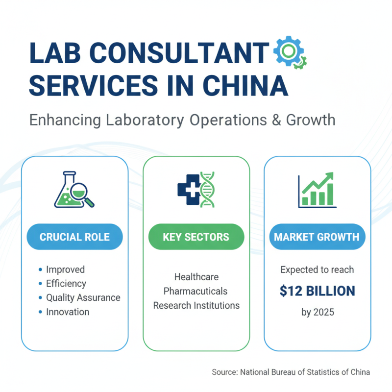 Top 10 Lab Consultant Services in China You Should Know?
