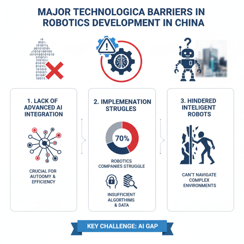 China Top Robotics Design Challenges in Innovation and Development?