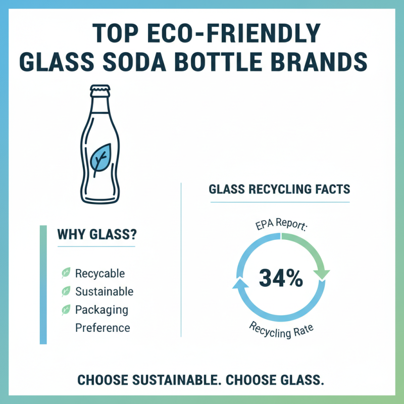 Best Glass Soda Bottles for Eco-Friendly Packaging Solutions?