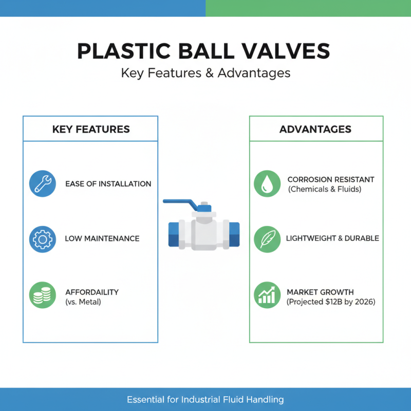 What is a Plastic Ball Valve and How to Choose One?