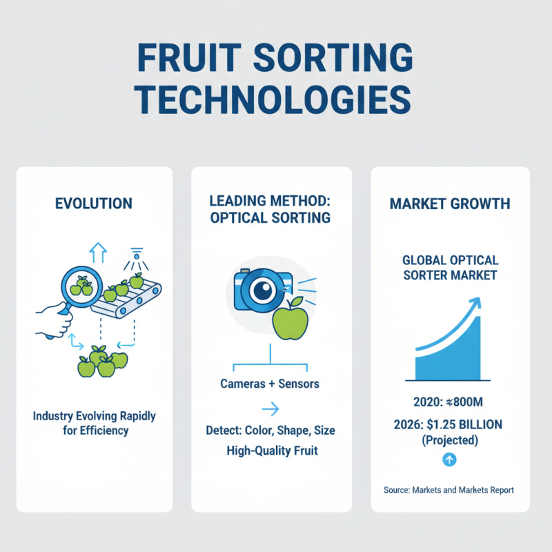 2026 Best Fruit Sorting Machine for Efficient Harvesting Solutions?