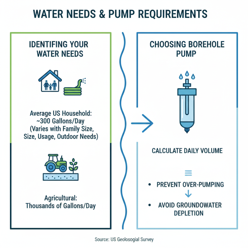 How to Choose the Best Borehole Pumps for Your Needs?
