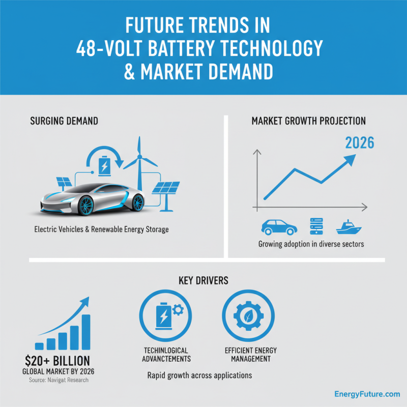 2026 Best 48 Volt 300 Amp Batteries for Global Buyers?