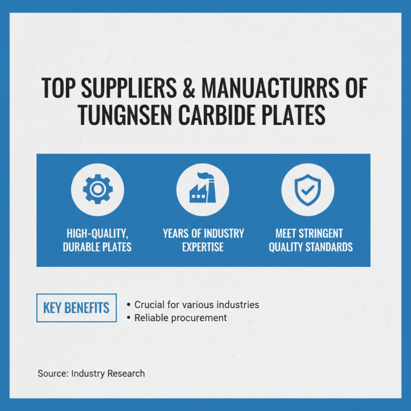 2026 Top Tungsten Carbide Plate Buying Guide for Importers?