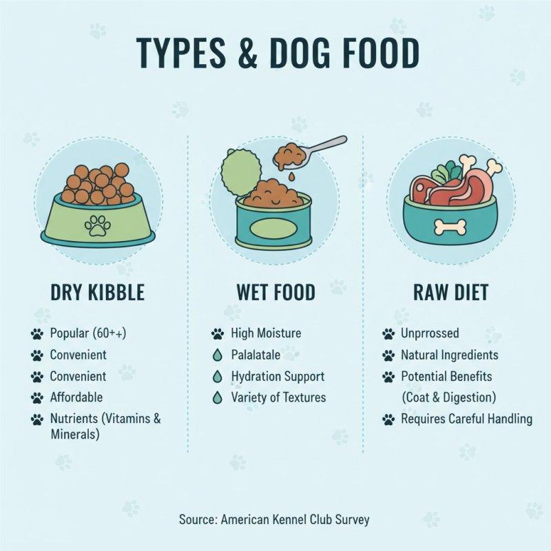 What is the Best Dog Food for Better Health and Vitality?