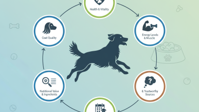 What is the Best Dog Food for Better Health and Vitality?