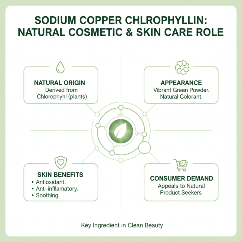 Top 10 Uses of Sodium Copper Chlorophyllin Powder in 2026?
