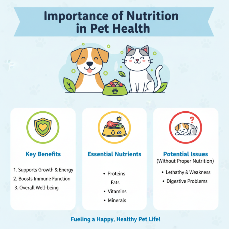 Why Is Quality Pet Food Essential for Your Pets Health?