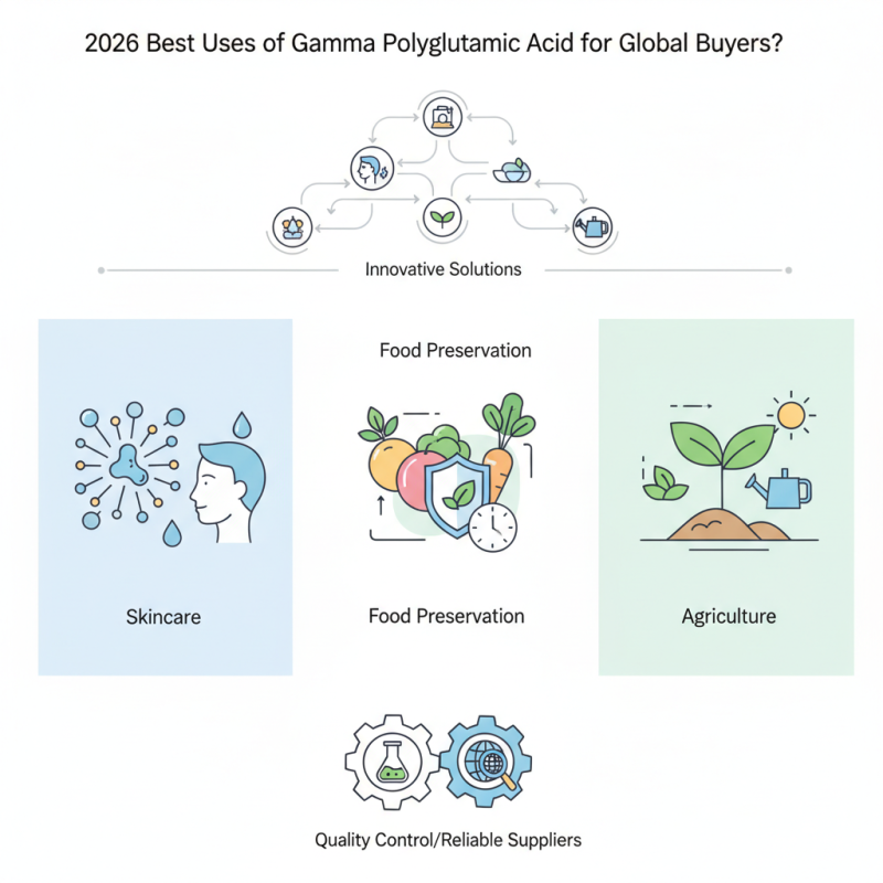 2026 Best Uses of Gamma Polyglutamic Acid for Global Buyers?