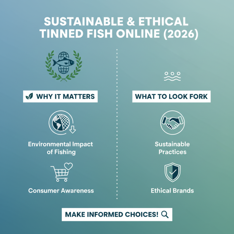 Where to Buy Tinned Fish Online in 2026?