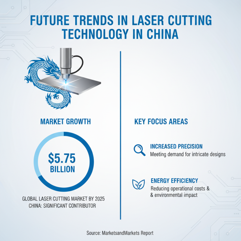 China Top Laser Plate Cutting Machine for Optimal Precision?