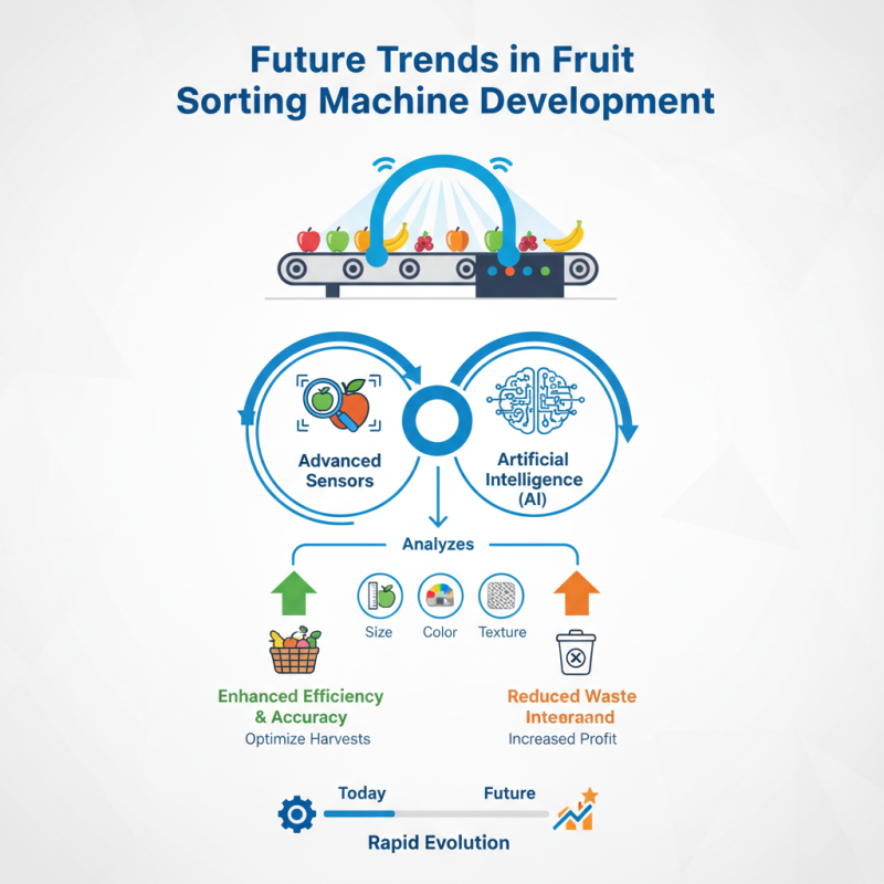 2026 Best Fruit Sorting Machine for Efficient Harvesting Solutions?
