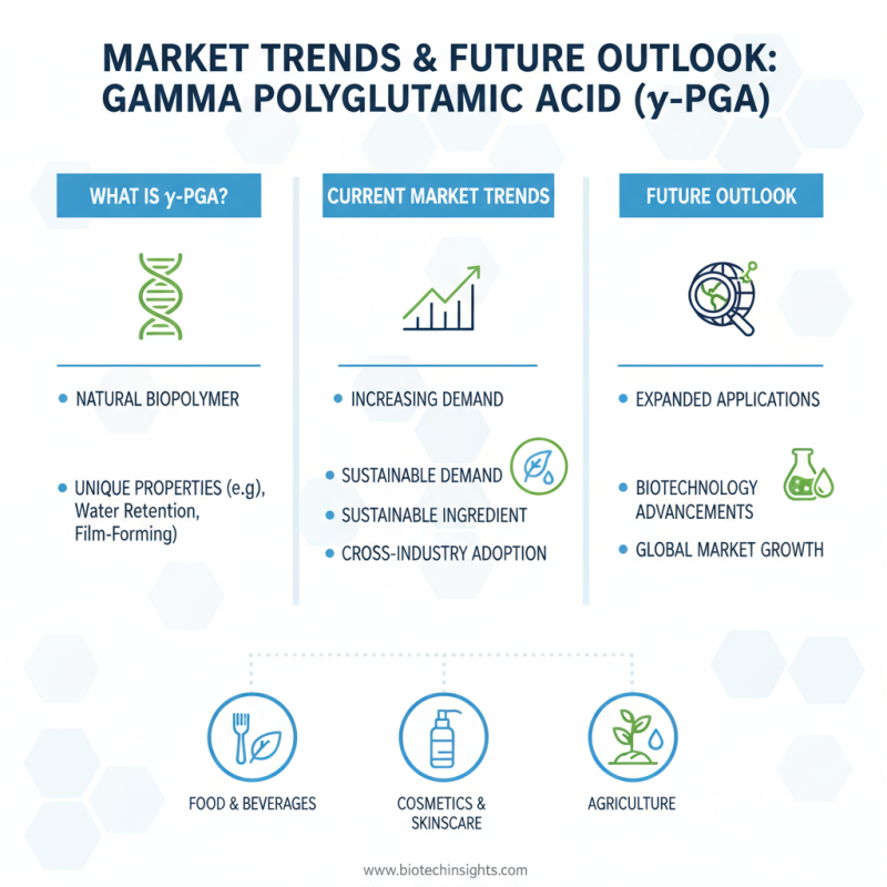2026 Best Uses of Gamma Polyglutamic Acid for Global Buyers?