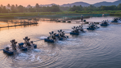 Why Choose Paddle Wheel Aerators for Your Aquaculture Needs?