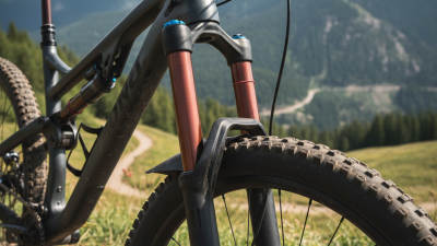 China Top Dual Crown Fork a Comprehensive Guide?