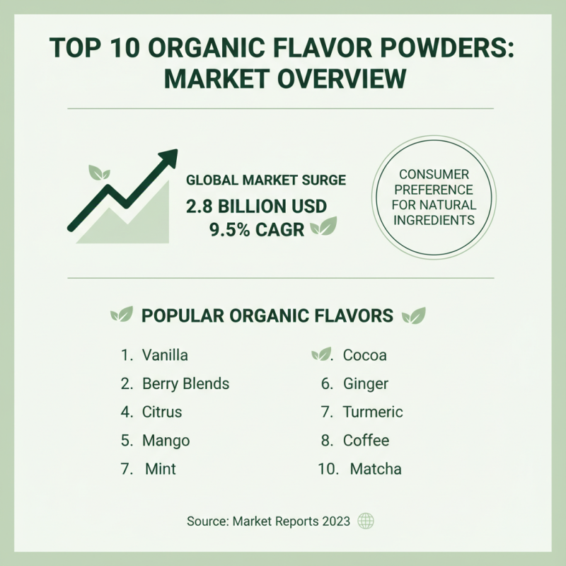 Top 10 Organic Flavor Powder Options for Global Buyers?