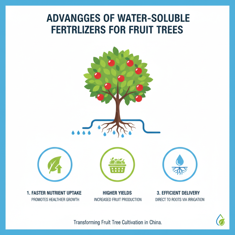 Discover the Benefits of Water Soluble Fruit Tree Fertilizer in China Best Cultivation?