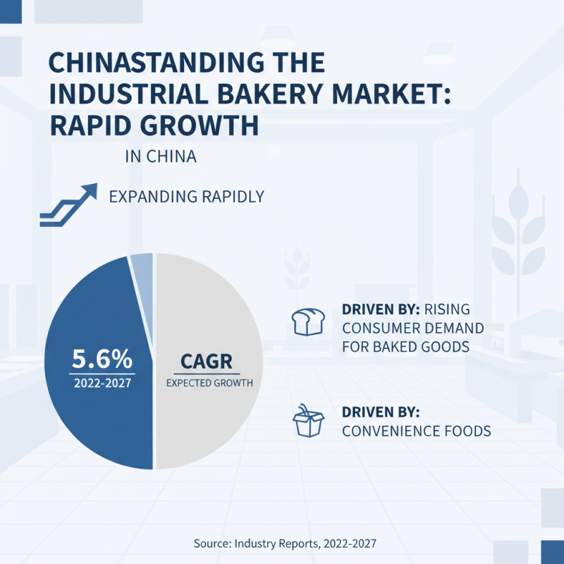 Find the Best Industrial Bakery Solutions in China Today?
