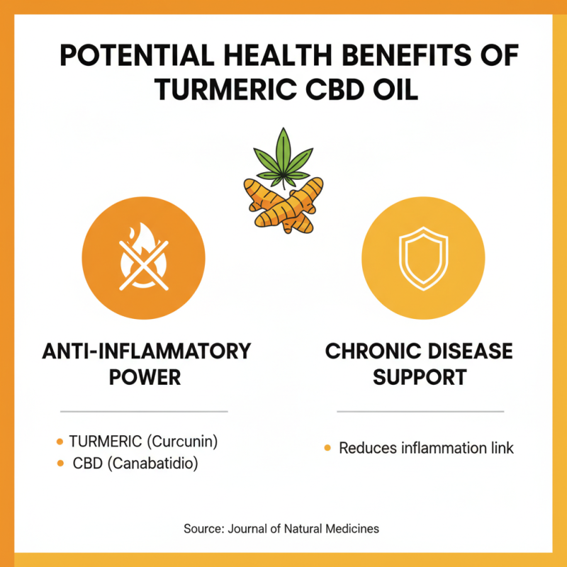 Exploring the Benefits of Turmeric CBD Oil for Health and Wellness