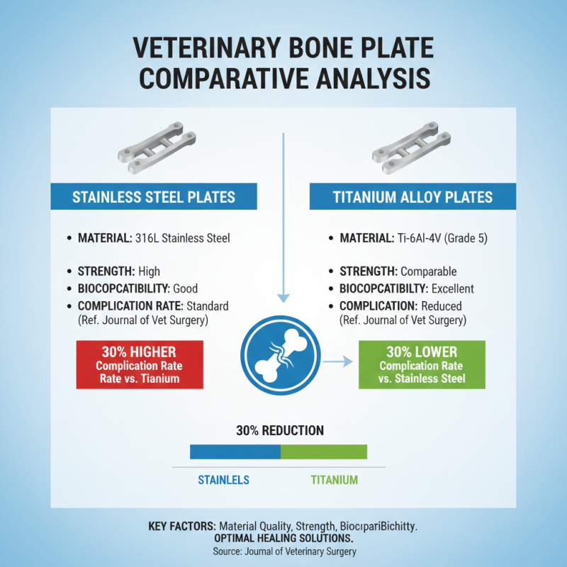 Top 10 Veterinary Bone Plates for Optimal Healing Solutions?