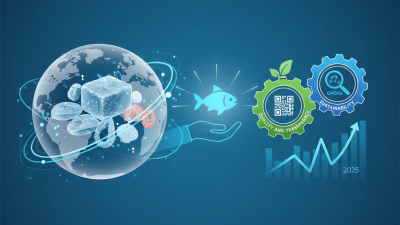 China Best Frozen Seafood Suppliers What to Look For?