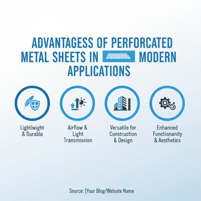 Exploring the Best Metal Sheet With Holes Options for 2026?