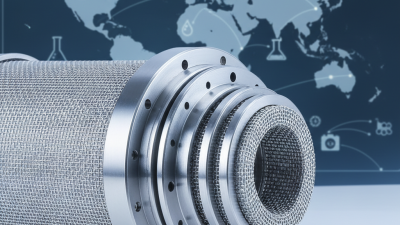 China Best Stainless Steel Precision Filter for Global Buyers?