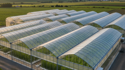 What is the Best Multi-Span Greenhouse for Global Buyers?