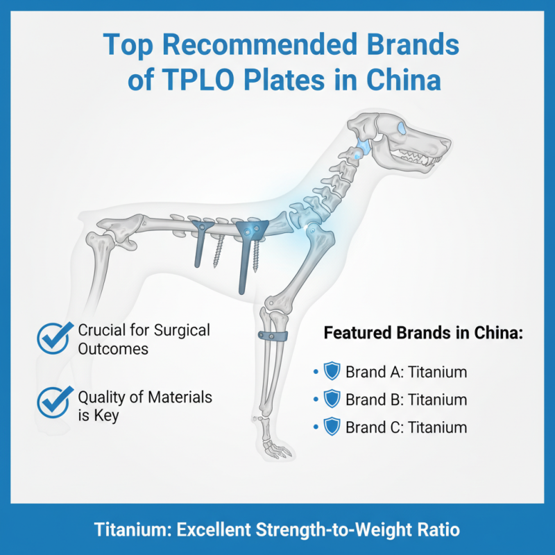Discover the Best Tplo Plates for Dogs in China?