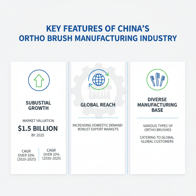 Top Ortho Brush Suppliers in China for Global Buyers?