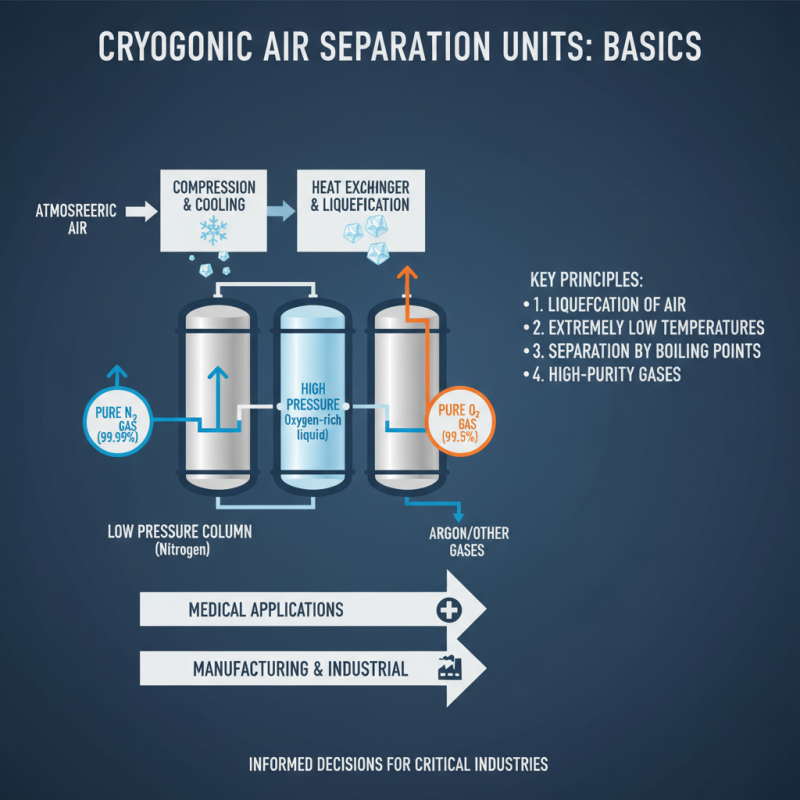 How to Choose the Right Cryogenic Air Separation Unit?
