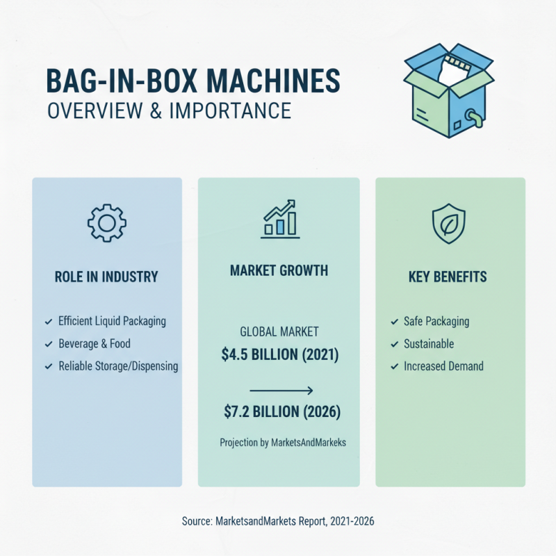 Top 2026 Bag in Box Machine Options for Global Buyers?