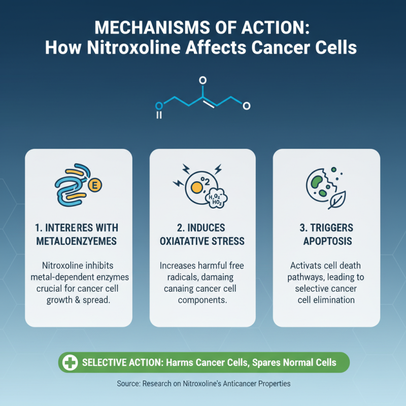 Why Nitroxoline is Key to Unlocking Anticancer Properties?