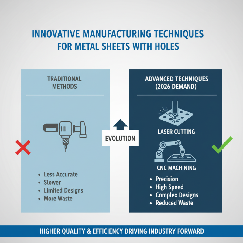 Exploring the Best Metal Sheet With Holes Options for 2026?